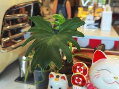 -芷桦咖啡(新城市广场店)