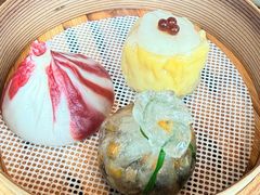 -随堂里