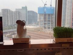 -牛New寿喜烧(金鹰世界店)