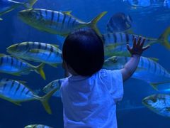 -太平洋海底世界