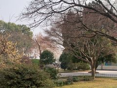 -浙江西湖美术馆