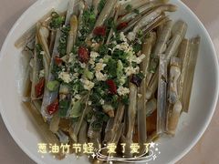 -新楚记