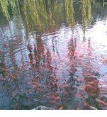 -西湖天地