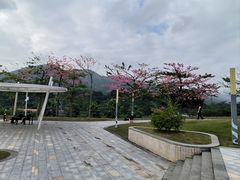 -白石龙音乐公园