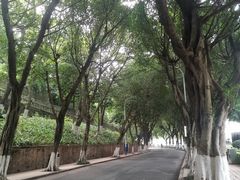 -西南政法大学(沙坪坝校区)