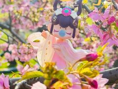 -上海辰山植物园