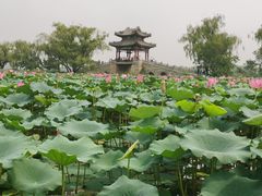 -皇家御河游(紫御湾码头)
