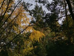 -成都市活水公园