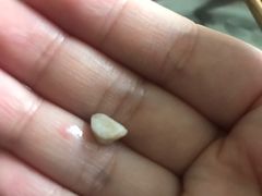 -赵记粽子(司前街店)