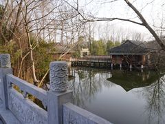 -溱湖国家湿地公园