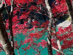 -叠溪松坪沟景区