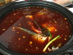 -金海椒罐罐鲢鱼(东方桂苑店)