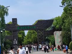 -溱湖国家湿地公园