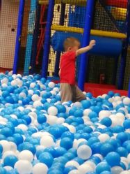 -爱丽丝奇幻乐园