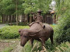 -溱湖国家湿地公园