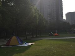 -新江湾城公园
