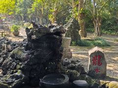 -海口火山口国家地质公园