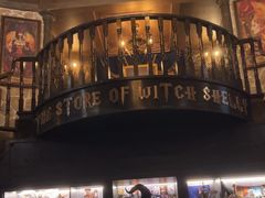 -雪灵魔法世界SHELLY’S TAROT(大良桂畔里店)