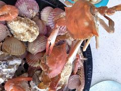 -前王院•巧克力海鲜市集餐厅(万平口店)