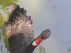 -广东茂名森林公园