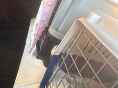 -申普宠物医院·心脏介入·心血管微创(总院)