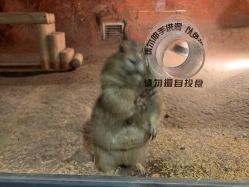 -酷嗒动物文化乐园(cutezoo西溪乐天城店)