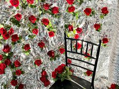 -西安电影制片厂