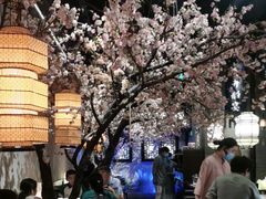 -绿茶餐厅(千岛湖银泰城店)