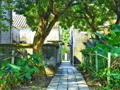 -开平碉楼文化旅游区马降龙景区