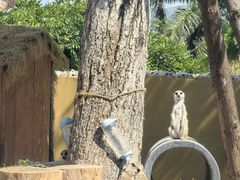 -泉州海丝野生动物世界