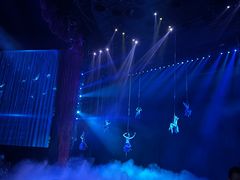 -水秀国际大剧院