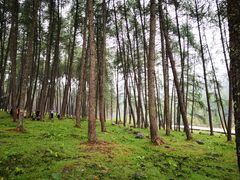 -硗碛藏寨·神木垒景区