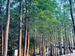 -云龙湖旅游景区