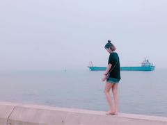 -东郊椰林