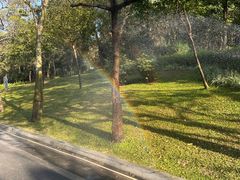 -云溪植物园