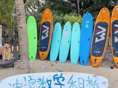 -后海村