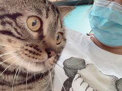 -纳吉亚猫专科动物医院博雅分院