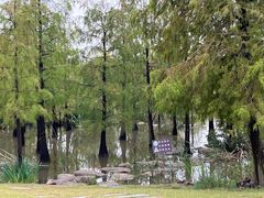 -上海长兴岛郊野公园