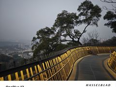 -福道