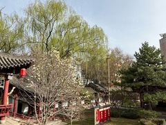 -碑林公园