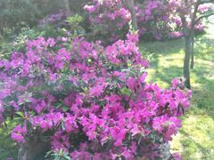 -阳光山水江湖菜馆(西山龙门店)