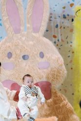 点击看大图 -豪门婚礼策划