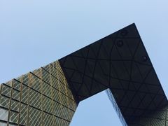 -中央广播电视总台(光华路办公区)