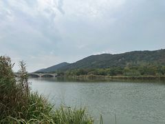 -长广溪湿地公园