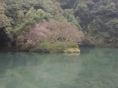 -龙井村