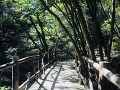 -祁门牯牛降观音堂风景区