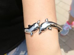 -北戴河圣蓝海洋公园