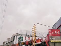 -中环花鸟鱼虫市场