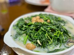 上汤苋菜-腰记饭店(龙源路店)