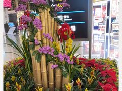 -杭州萧山国际机场